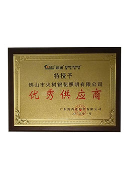 優(yōu)秀供應(yīng)商