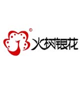 佛山市火樹(shù)銀花照明科技有限公司